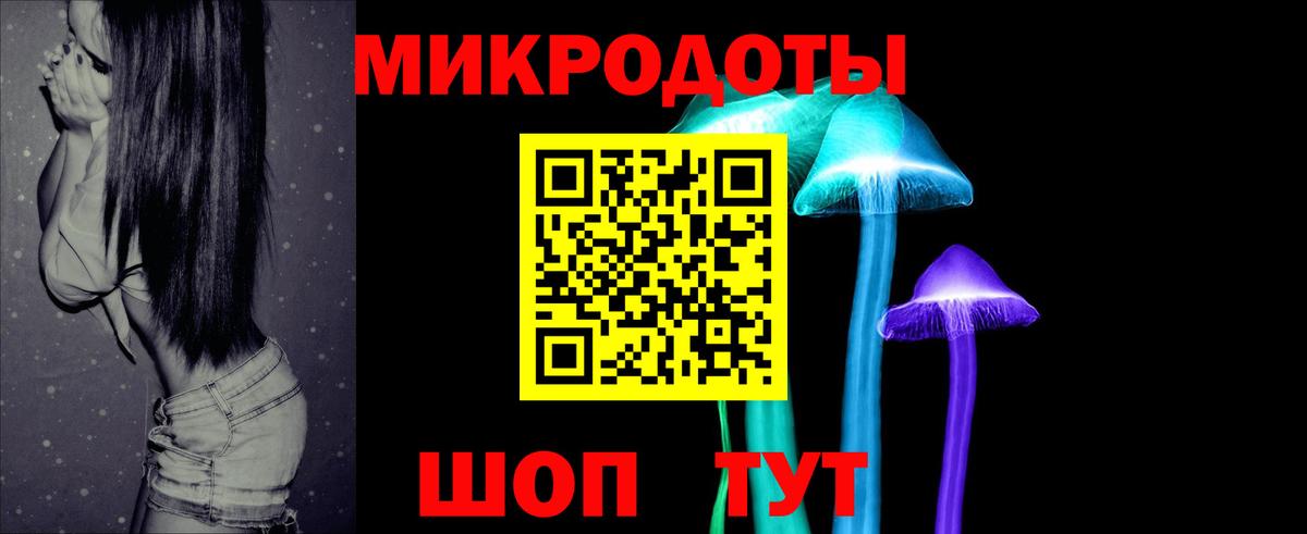 Псилоцибиновые грибы Psilocybe Ноябрьск